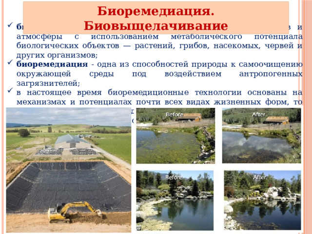 Биоремедиация. Биовыщелачивание биоремедиация — комплекс методов очистки вод, грунтов и атмосферы с использованием метаболического потенциала биологических объектов — растений, грибов, насекомых, червей и других организмов; биоремедиация - одна из способностей природы к самоочищению окружающей среды под воздействием антропогенных загрязнителей; в настоящее время биоремедиционные технологии основаны на механизмах и потенциалах почти всех видах жизненных форм, то есть растений (фиторемидиация), микроорганизмов (микробная ремидиация) и животных (зооремидиация). 