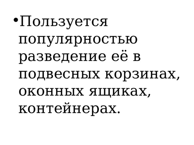 Пользуется популярностью разведение её в подвесных корзинах, оконных ящиках, контейнерах. 