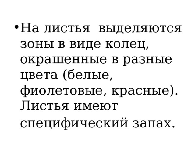 На листья выделяются зоны в виде колец, окрашенные в разные цвета (белые, фиолетовые, красные). Листья имеют специфический запах . 