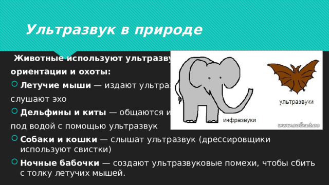 Ультразвук в природе  Животные используют ультразвук для ориентации и охоты: Летучие мыши  — издают ультразвук и слушают эхо Дельфины и киты  — общаются и «видят» под водой с помощью ультразвук Собаки и кошки  — слышат ультразвук (дрессировщики используют свистки) Ночные бабочки  — создают ультразвуковые помехи, чтобы сбить с толку летучих мышей. 