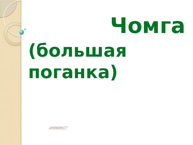  Чомга (большая поганка)                  Составила Зинькова Ирина Яковлевна  учитель начальных классов  МБОУ г.Керчи РФСШ№1им.В.Дубинина 