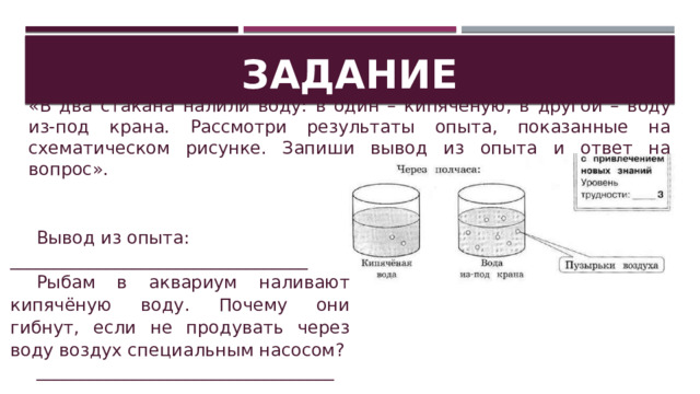 «В два стакана налили воду: в один – кипячёную, в другой – воду из-под крана. Рассмотри результаты опыта, показанные на схематическом рисунке. Запиши вывод из опыта и ответ на вопрос». Задание Вывод из опыта: __________________________________ Рыбам в аквариум наливают кипячёную воду. Почему они гибнут, если не продувать через воду воздух специальным насосом? __________________________________ 