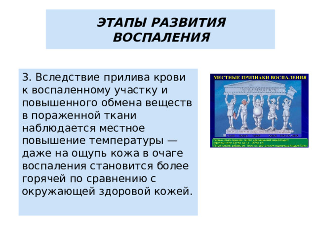 ЭТАПЫ РАЗВИТИЯ ВОСПАЛЕНИЯ 3. Вследствие прилива крови к воспаленному участку и повышенного обмена веществ в пораженной ткани наблюдается местное повышение температуры — даже на ощупь кожа в очаге воспаления становится более горячей по сравнению с окружающей здоровой кожей. 