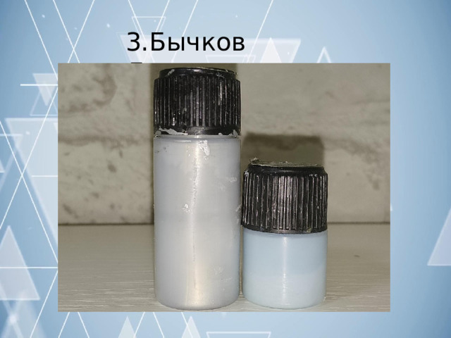 3.Бычков  Леонид 