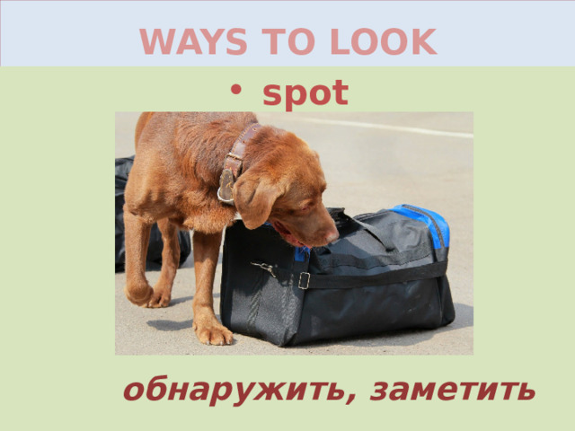 WAYS TO LOOK spot обнаружить, заметить 