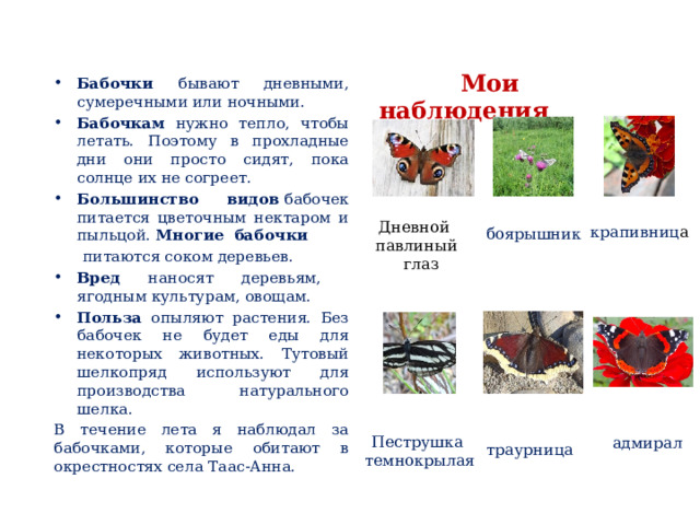  Мои наблюдения Бабочки бывают дневными, сумеречными или ночными. Бабочкам нужно тепло, чтобы летать. Поэтому в прохладные дни они просто сидят, пока солнце их не согреет. Большинство видов  бабочек питается цветочным нектаром и пыльцой. Многие бабочки    питаются соком деревьев. Вред наносят  деревьям, ягодным культурам, овощам. Польза опыляют растения. Без бабочек не будет еды для некоторых животных. Тутовый шелкопряд используют для производства натурального шелка. В течение лета я наблюдал за бабочками, которые обитают в окрестностях села Таас-Анна. Дневной павлиный глаз крапивниц а боярышник Пеструшка темнокрылая адмирал траурница 