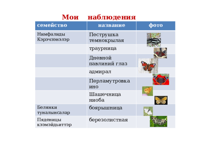 Мои наблюдения семейство Нимфалиды название фото Кэрэчээнэлэр Пеструшка темнокрылая траурница Дневной павлиний глаз адмирал Перламутровка ино Шашечница ниоба Белянки туналынсалар Пяденицы боярышница кээмэйдьиттэр березолистная 