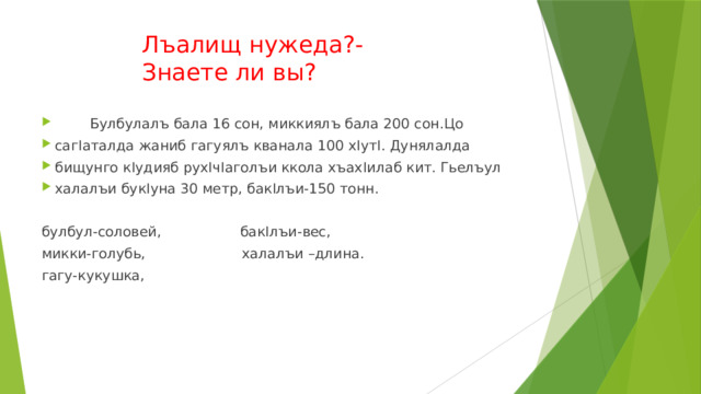 Лъалищ нужеда?- Знаете ли вы?  Булбулалъ бала 16 сон, миккиялъ бала 200 сон.Цо сагIаталда жаниб гагуялъ кванала 100 хIутI. Дунялалда бищунго кIудияб рухIчIаголъи ккола хъахIилаб кит. Гьелъул халалъи букIуна 30 метр, бакIлъи-150 тонн. булбул-соловей, бакIлъи-вес, микки-голубь, халалъи –длина. гагу-кукушка, 