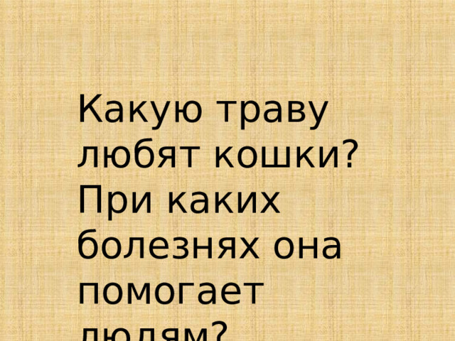 Какую траву любят кошки? При каких болезнях она помогает людям? 