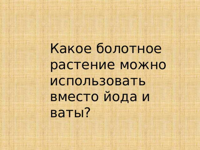 Какое болотное растение можно использовать вместо йода и ваты? 