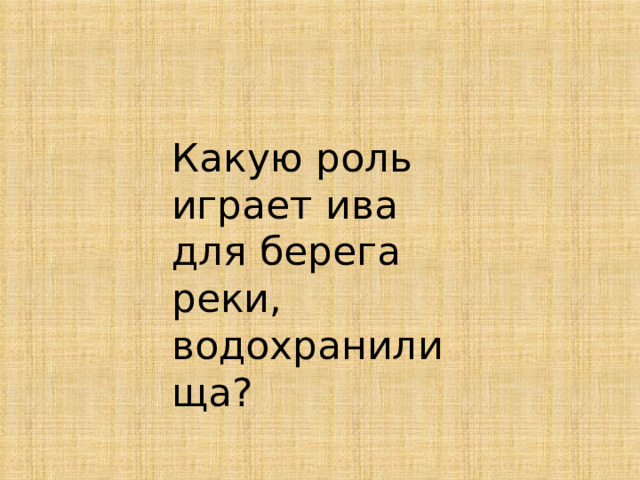 Какую роль играет ива для берега реки, водохранилища? 