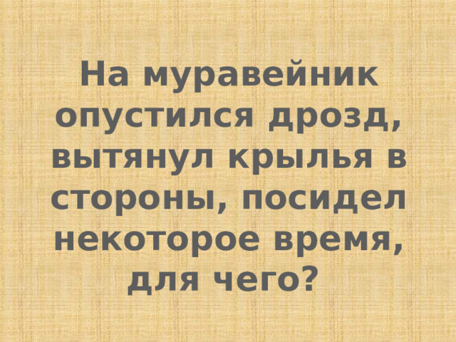 На муравейник опустился дрозд, вытянул крылья в стороны, посидел некоторое время, для чего? 