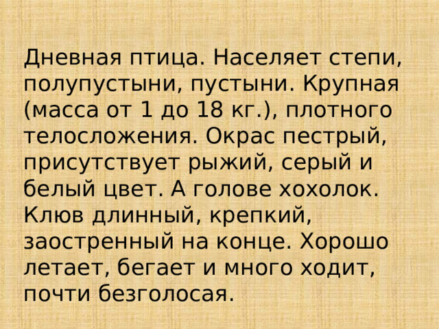 Дневная птица. Населяет степи, полупустыни, пустыни. Крупная (масса от 1 до 18 кг.), плотного телосложения. Окрас пестрый, присутствует рыжий, серый и белый цвет. А голове хохолок. Клюв длинный, крепкий, заостренный на конце. Хорошо летает, бегает и много ходит, почти безголосая. 