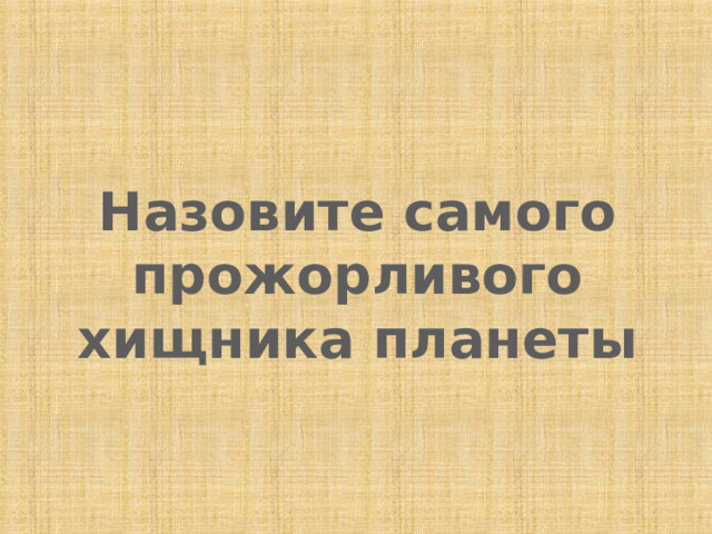 Назовите самого прожорливого хищника планеты 