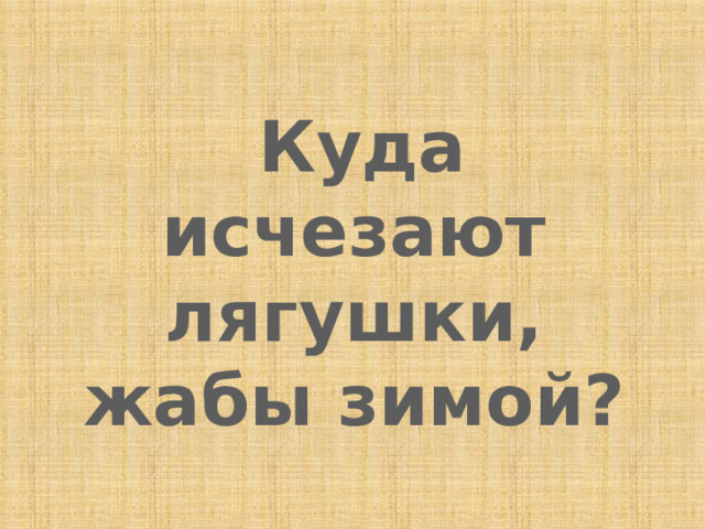  Куда исчезают лягушки, жабы зимой? 