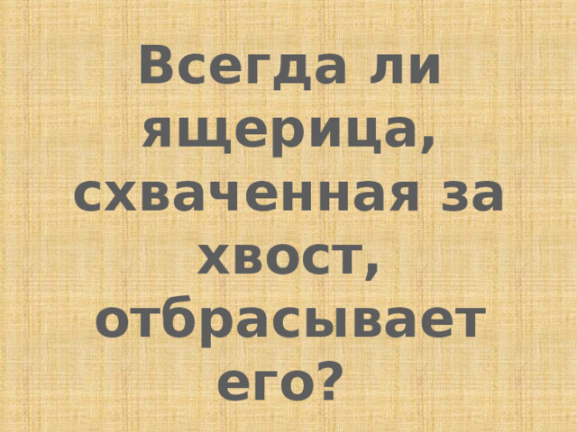 Всегда ли ящерица, схваченная за хвост, отбрасывает его? 