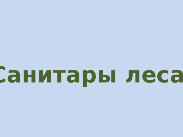 Санитары леса 