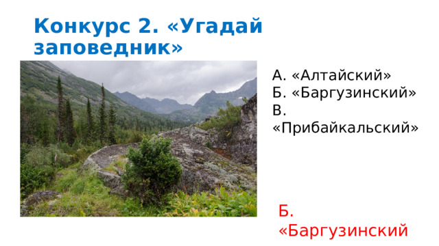 Конкурс 2. «Угадай заповедник» А. «Алтайский» Б. «Баргузинский» В. «Прибайкальский» Б. «Баргузинский» 