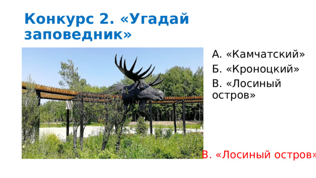 Конкурс 2. «Угадай заповедник» А. «Камчатский» Б. «Кроноцкий» В. «Лосиный остров» В. «Лосиный остров» 