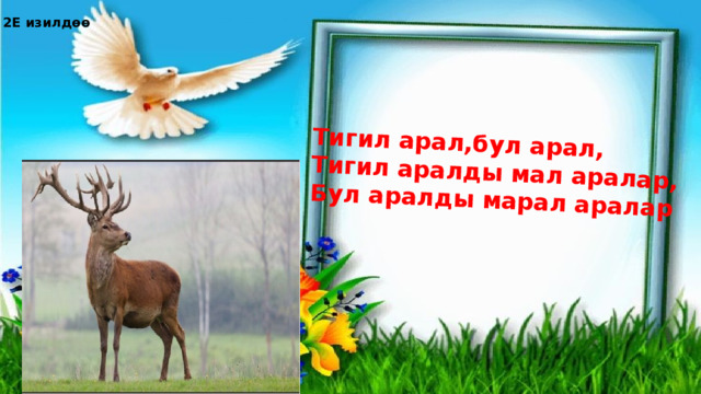 Тигил арал,бул арал, Тигил аралды мал аралар, Бул аралды марал аралар 2Е изилдөө 