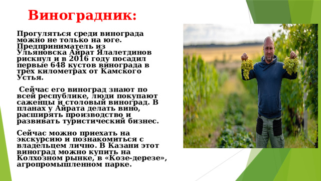 Виноградник: Прогуляться среди винограда можно не только на юге. Предприниматель из Ульяновска Айрат Ялалетдинов рискнул и в 2016 году посадил первые 648 кустов винограда в трех километрах от Камского Устья.  Сейчас его виноград знают по всей республике, люди покупают саженцы и столовый виноград. В планах у Айрата делать вино, расширять производство и развивать туристический бизнес. Сейчас можно приехать на экскурсию и познакомиться с владельцем лично. В Казани этот виноград можно купить на Колхозном рынке, в «Козе-дерезе», агропромышленном парке.  