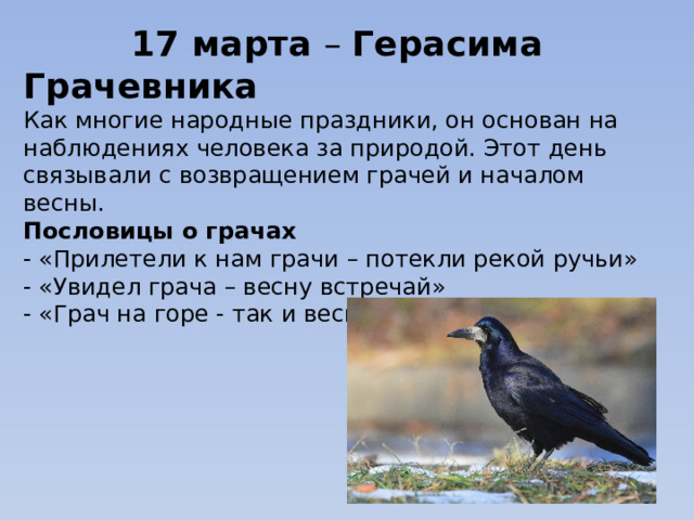   17 марта – Герасима Грачевника  Как многие народные праздники, он основан на наблюдениях человека за природой. Этот день связывали с возвращением грачей и началом весны.  Пословицы о грачах  - «Прилетели к нам грачи – потекли рекой ручьи»  - «Увидел грача – весну встречай»  - «Грач на горе - так и весна на дворе»      
