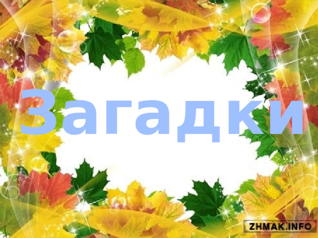 Загадки 