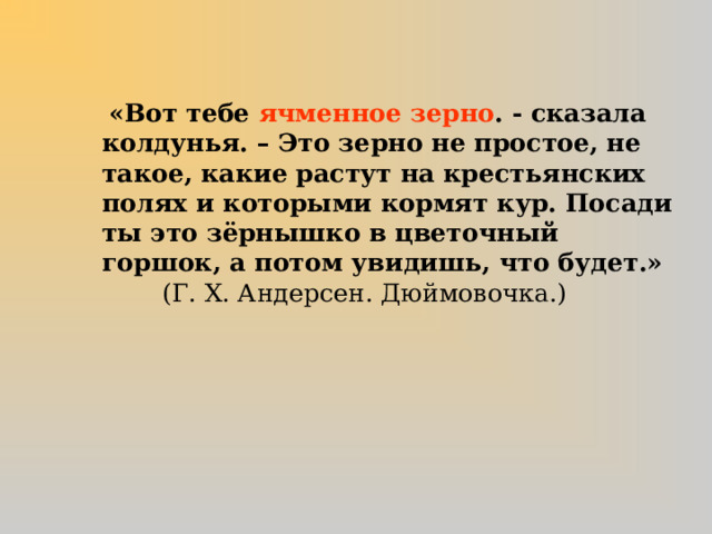  «Вот тебе ячменное зерно . - сказала колдунья. – Это зерно не простое, не такое, какие растут на крестьянских полях и которыми кормят кур. Посади ты это зёрнышко в цветочный горшок, а потом увидишь, что будет.» (Г. Х. Андерсен. Дюймовочка.)  
