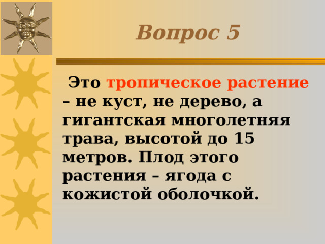 Вопрос 5  Это тропическое растение – не куст, не дерево, а гигантская многолетняя трава, высотой до 15 метров. Плод этого растения – ягода с кожистой оболочкой. 