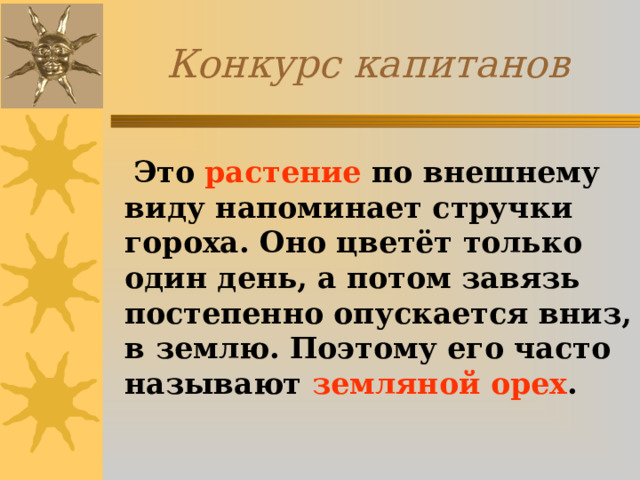 Конкурс капитанов  Это растение по внешнему виду напоминает стручки гороха. Оно цветёт только один день, а потом завязь постепенно опускается вниз, в землю. Поэтому его часто называют земляной орех . 