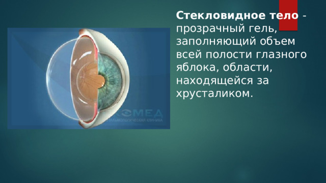 Стекловидное тело - прозрачный гель, заполняющий объем всей полости глазного яблока, области, находящейся за хрусталиком. 