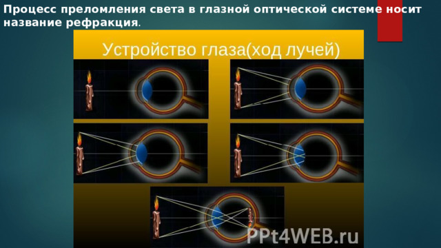 Процесс преломления света в глазной оптической системе носит название рефракция . 