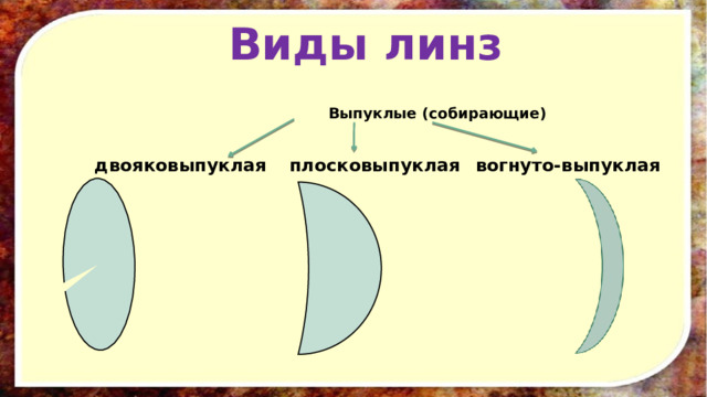 Виды линз Выпуклые (собирающие) двояковыпуклая  плосковыпуклая  вогнуто-выпуклая 