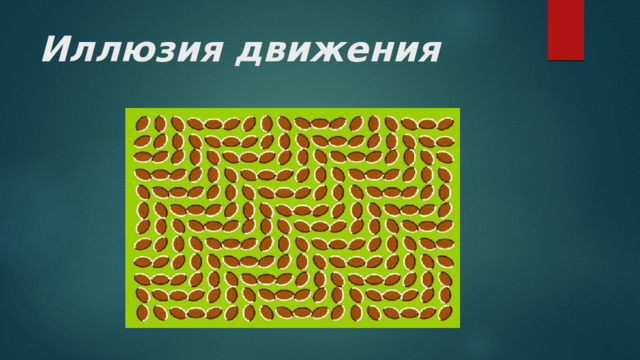 Иллюзия движения 
