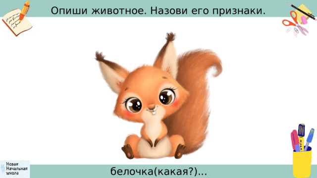 Опиши животное. Назови его признаки. белочка(какая?)... 