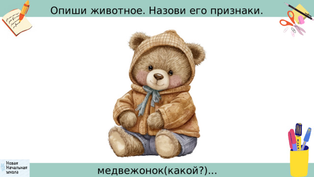 Опиши животное. Назови его признаки. медвежонок(какой?)... 
