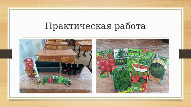 Практическая работа 