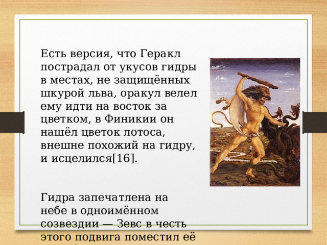 Есть версия, что Геракл пострадал от укусов гидры в местах, не защищённых шкурой льва, оракул велел ему идти на восток за цветком, в Финикии он нашёл цветок лотоса, внешне похожий на гидру, и исцелился[16]. Гидра запечатлена на небе в одноимённом созвездии — Зевс в честь этого подвига поместил её на небо. 
