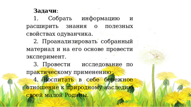 Задачи : 1. Собрать информацию и расширить знания о полезных свойствах одуванчика. 2. Проанализировать собранный материал и на его основе провести эксперимент. 3. Провести исследование по практическому применению 4. Воспитать в себе бережное отношение к природному наследию своей малой Родины. 