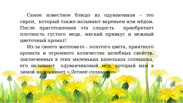 Самое известное блюдо из одуванчиков – это сироп, который также называют вареньем или мёдом. После приготовления эта сладость приобретает плотность густого меда, мягкий привкус и нежный цветочный аромат! Из-за своего желтовато - золотого цвета, приятного аромата и огромного количества целебных свойств, заключенных в этих маленьких капельках солнышка, его называют одуванчиковый мед, который нам в зимой напоминает « Летнее солнышко» 