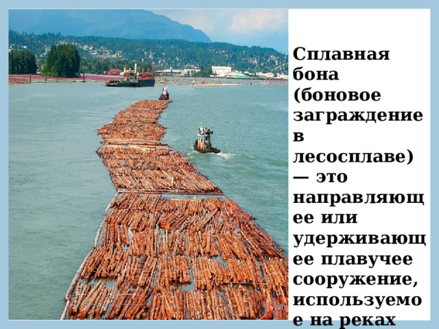 Сплавная бона (боновое заграждение в лесосплаве) — это направляющее или удерживающее плавучее сооружение, используемое на реках для сплава леса . 