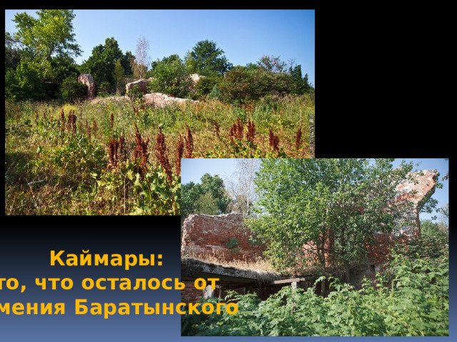 Каймары: то, что осталось от имения Баратынского 