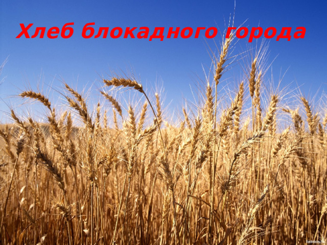 Хлеб блокадного города       