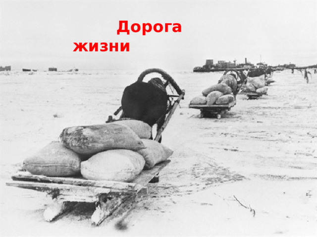  Дорога жизни 