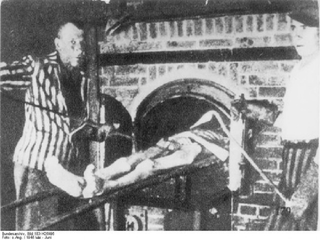 Фашистские концлагеря предназначалась для физического уничтожения целых народов, в первую очередь славянских; тотального истребления евреев, цыган. Для этого они оснащались душегубками, газовыми камерами и др. средствами массового истребления людей, крематориями. 