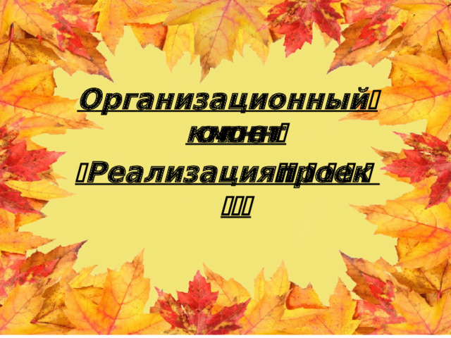 Организационныйкомпонент  Реализацияпроекта 