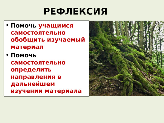 РЕФЛЕКСИЯ    Помочь учащимся самостоятельно обобщить изучаемый материал Помочь  самостоятельно определить направления в дальнейшем изучении материала 