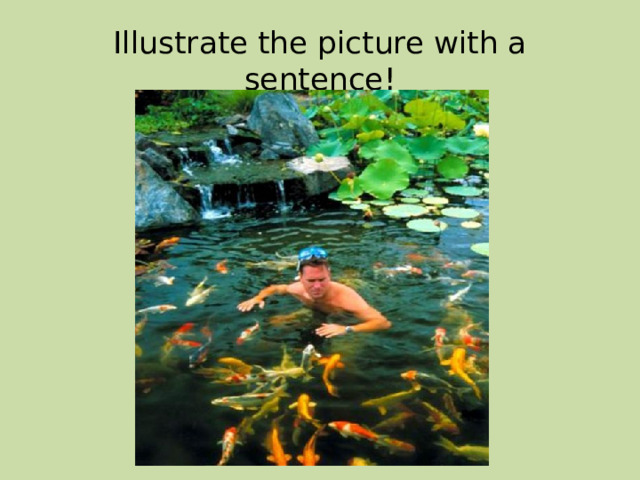 Illustrate the picture with a sentence! 