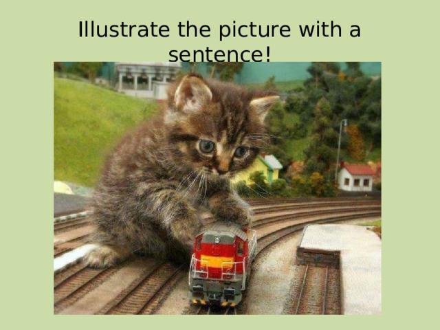 Illustrate the picture with a sentence! 