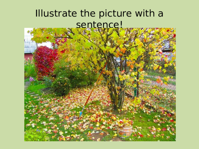 Illustrate the picture with a sentence! 